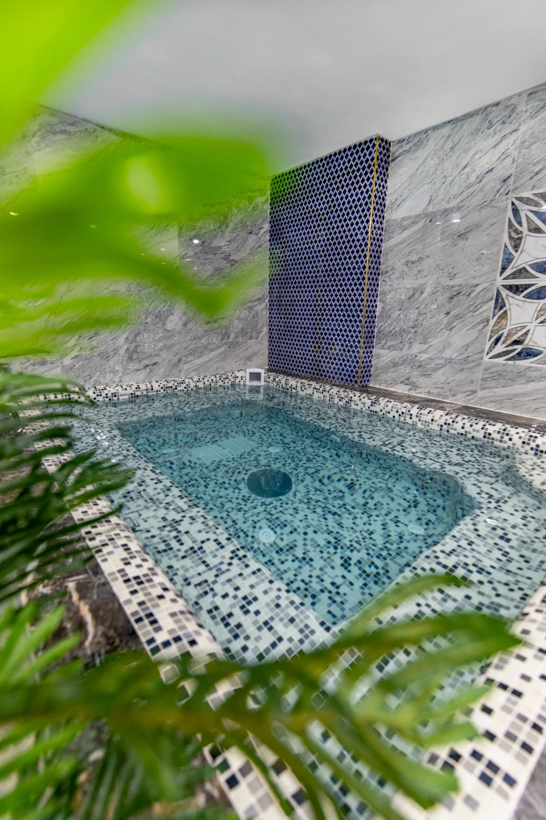 Bosspa - Tesis görseli 2